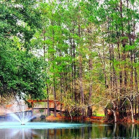 Waterfront Houston Hide Out In A Magical Forest ウォーラー郡  エクステリア 写真