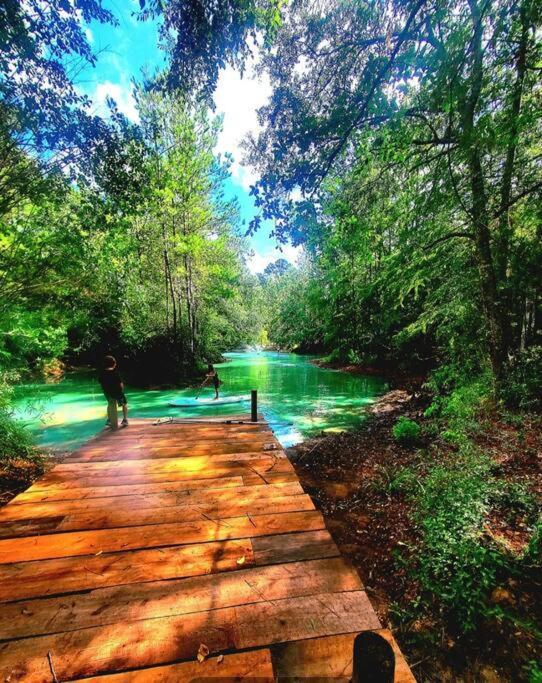 Waterfront Houston Hide Out In A Magical Forest ウォーラー郡  エクステリア 写真