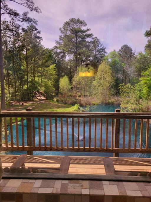Waterfront Houston Hide Out In A Magical Forest ウォーラー郡  エクステリア 写真